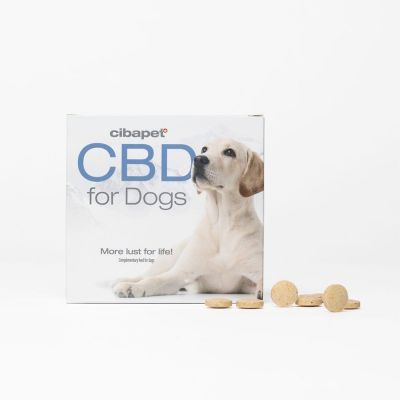 CBD Pillen für Hunde