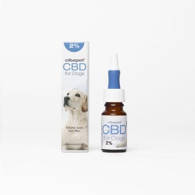 CBD Öl für Hunde
