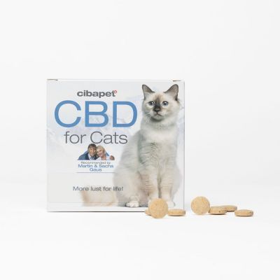 CBD Pillen für Katzen