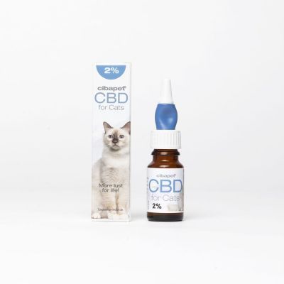 CBD Öl für Katzen